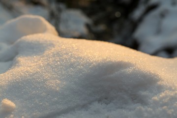 Nature covered by snow and shadows during winter. Slovakia