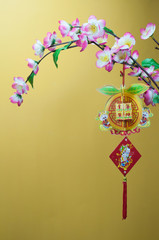 Chinese new year decorations. Chinese favourite flowers. Chinese new year craft