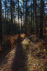 Obraz premium Anboto y alrededores