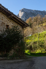 Obraz premium Los encantos de Arrazola - Atxondo