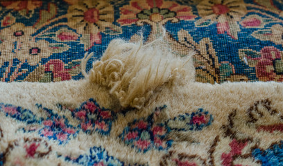 Uncut wool after rug repair