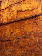 Old red brick wall covered with dried orange foam
