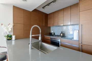 Bright modern kitchen with stainless steel appliances. Interior design.