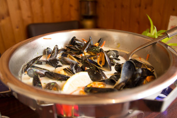 Miesmuscheln im Topf