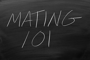 The words "Mating 101" on a blackboard in chalk