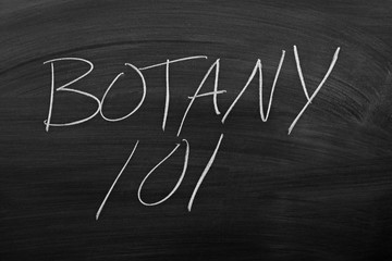 The words "Botany 101" on a blackboard in chalk