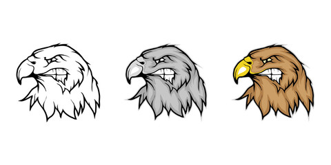Eagle, isolated on white background, colour and black white illustration, suitable as logo or team mascot