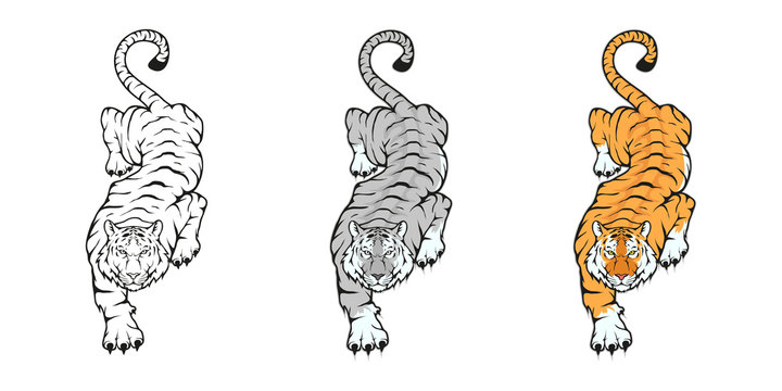 Tiger, isolated on white background, colour and black white illustration, suitable as logo or team mascot