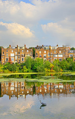 Hampstead Heath pond with Great Blue Heron and reflected old apartment buildings. © lffile