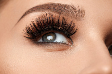 Fototapeta na wymiar Long Black Eyelashes. Closeup Beautiful Female Eye With Makeup