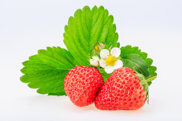 Ripe strawberry