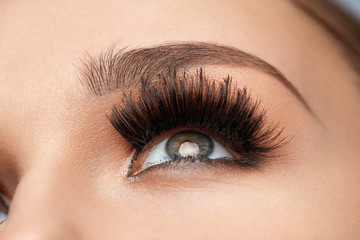 Obraz premium Long Black Eyelashes. Closeup Beautiful Female Eye With Makeup