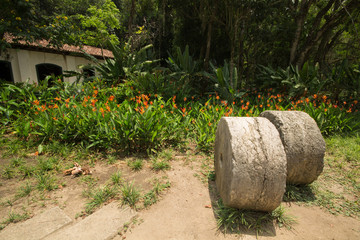 Naklejka premium Mill stones in front of the colonial house and very green