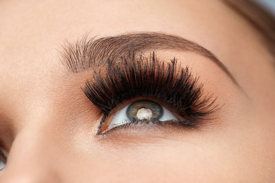 Long Black Eyelashes. Closeup Beautiful Female Eye With Makeup