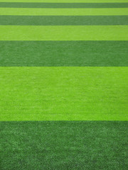 soccer field