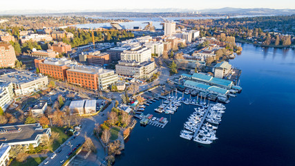 Fototapeta na wymiar Aerial View of University of Washington Neighborhood School Campus - Bellevue Skyline in Background