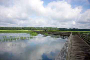 Naklejka premium Huntington Beach State Park, South Carolina, USA. Wooden boardwalk on the expansive salt marsh. Landscape with cloudy blue sky reflected in the water.