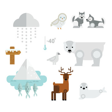 Wild north arctic animals symbols vector.