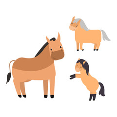 Different horses breed vector set.