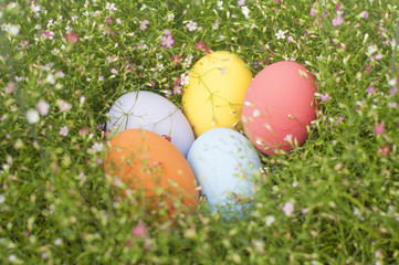 Background with Easter Eggs in the Gypso Fresh Green Grass