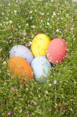 Background with Easter Eggs in the Gypso Fresh Green Grass