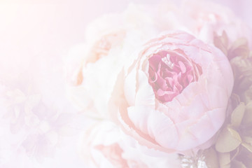 Pink roses on pink background.