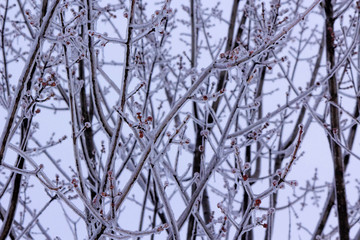 Icicles from first winter storm