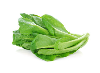 fresh cos (lettuce) on white background