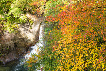 Waterfall in Naruko canyon