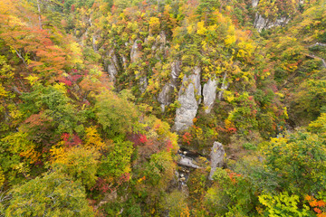 Naruko canyon of japan in autumn