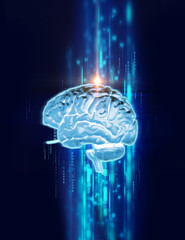 3d rendering of human  brain on technology background