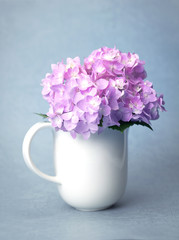 the sweet  hydrangea flowers in white vase
