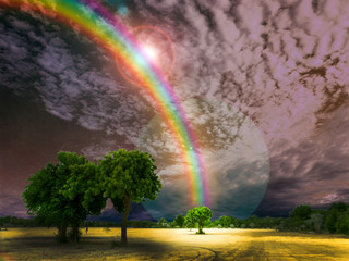 god bless rainbow dark and sky tree in park