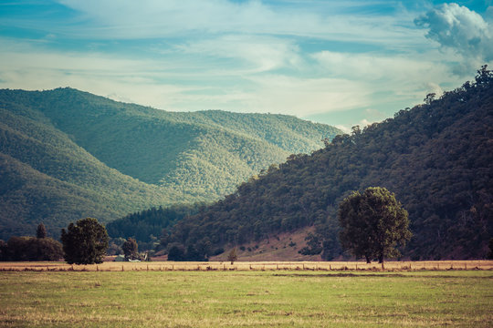 Australian outback landscape. Forested hills and meadows. Mitta Mitta Valley, Victoria, Australia