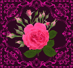 pink rose bunch in square frame