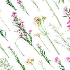 Obraz na płótnie Canvas Floral pattern with pink and beige wildflowers, green leaves, branches on white background. Flat lay, top view. Valentine's background