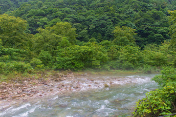 Naklejka na ściany i meble Waterfall and bridge in Golden whip stream at Zhangjiajie Nation