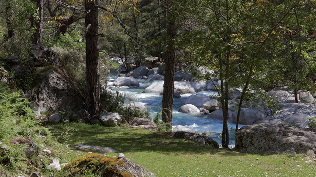 Riviere corse