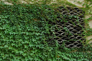 Obraz premium travel in China