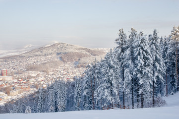 Winter snowy mountain valley with village and frozen rime pine trees in the foreground with ranges of snow hills on the background under blue sky Altai Mountains, Siberia, Russia