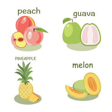 Vector fruits peach, guava, melon, pineapple
