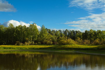 Serene landscape with green taiga forest above a lush grassy meadow and still lake