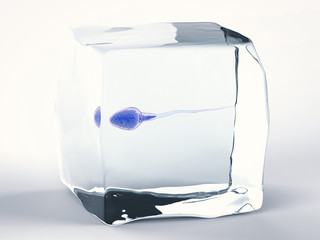 frozen sperm for sperm bank