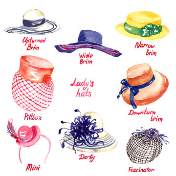 Lady's hats types: Upturned Brim, Wide Brim, Narrow Brim, Downturn Brim, Pillbox, Mini, Derby, Fascinator, hand painted watercolor illustration