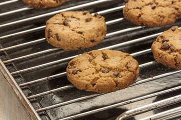 Freshly baked chocolate chips cookies on old baking tray