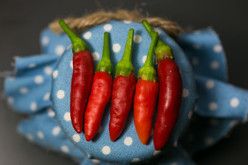 chili pepper on blue dot fabric and black background