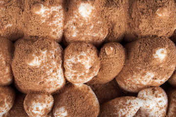 Ice tiramisu close up