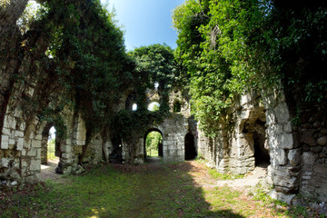 Overgrown ruins of ancient church VI-VII century, Abkhazia