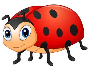 Fototapeta na wymiar Cute ladybug cartoon