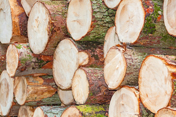 view of a stack wood